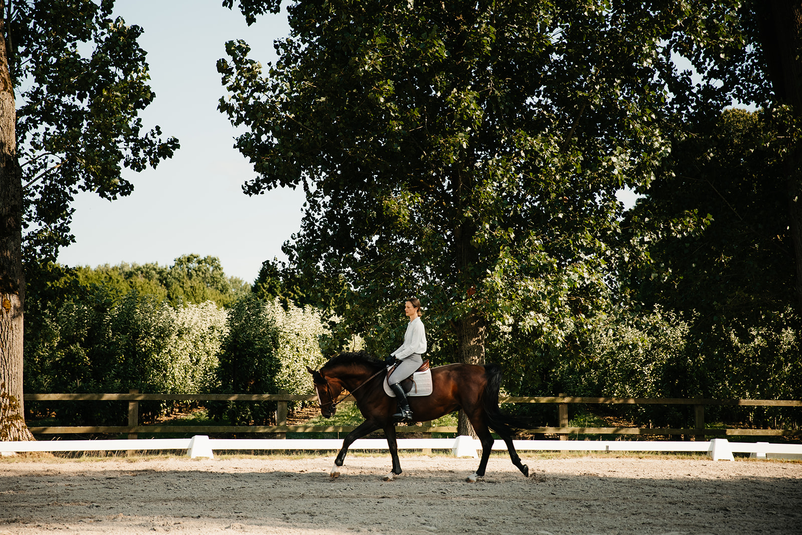 Beweging, Flow & Training